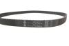 Купить Комплект ГРМ Lada Niva 1.9D 93-99/Peugeot J5 1.9D 90-94 INA 530 0011 10 (фото10) подбор по VIN коду, цена 3039 грн.