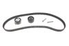 Купить Комплект ГРМ Citroen Xsara/Peugeot 306 1.8 16V 97-02 INA 530 0236 10 (фото2) подбор по VIN коду, цена 2842 грн.