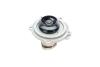 Купити Комплект ГРМ + помпа VW Caddy/Sharan/Seat Ibiza 1.9TDI/SDI 95-06 INA 530 0377 31 (фото7) підбір по VIN коду, ціна 6130 грн.