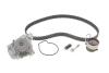 Купить Комплект (ремень+ролики+насос) Honda Civic, Stream, FR-V INA 530 0506 31 (фото1) подбор по VIN коду, цена 6262 грн.