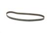 Купить Комплект ремня ГРМ с насосом воды Suzuki Grand Vitara, Renault Megane, Scenic, Grand Scenic INA 530 0579 30 (фото2) подбор по VIN коду, цена 6305 грн.