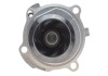 Купити Помпа води VW Caddy III 1.6/BiFuel 04-15 (23z), BGU, BSE, BSF, CHGA Volkswagen Golf, Audi A4, Skoda Octavia, Volkswagen Polo, Audi A3, Volkswagen Passat, Audi A6, Volkswagen Bora, Seat Toledo, Volkswagen Caddy, Seat Cordoba INA 538 0088 10 (фото3) підбір по VIN коду, ціна 1480 грн.