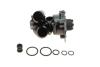 Купить Помпа води Audi A3-A8 1.8TFSI/2.0TFSI/Skoda Octavia 1.8TSI/2.0RS/VW Golf V/VI 2.0TSI 06- Volkswagen Passat, Skoda Superb, Volkswagen Sharan, Audi TT, Skoda Octavia, Volkswagen Golf, Audi A6, Skoda Yeti, Volkswagen Jetta, Tiguan, Audi Q5 INA 538 0980 10 (фото2) подбор по VIN коду, цена 4609 грн.