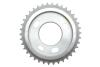 Купити Комплект ланцюга ГРМ Ford Transit 2.4DI/2.2-2.4TDCI 06- (ланцюг, натяжник, шестерня) INA 559 0152 30 (фото36) підбір по VIN коду, ціна 13119 грн.