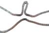 Купити Комплект ланцюга ГРМ Toyota Rav 4 III 2.04WD/2.4 05-13, 1AZ-FE/2AZ-FE INA 559 1031 40 (фото3) підбір по VIN коду, ціна 9801 грн.