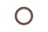 Купити Комплект ланцюга ГРМ Toyota Rav 4 III 2.04WD/2.4 05-13, 1AZ-FE/2AZ-FE INA 559 1031 40 (фото6) підбір по VIN коду, ціна 9801 грн.