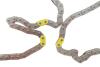 Купить Комплект ланцюга ГРМ Toyota Avensis 00-08/Corolla 01-09/Rav 4 1.8 00-05 INA 559 1805 30 (фото3) подбор по VIN коду, цена 9884 грн.