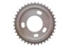 Купить Комплект ланцюга ГРМ Ford Transit 2.4DI/2.2-2.4TDCI 06- (ланцюг, натяжник, шестерня) Jaguar X-type, Ford Transit, Mondeo INA 559 1806 41 (фото28) подбор по VIN коду, цена 16877 грн.