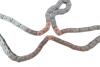 Купити Комплект ланцюга ГРМ Hyundai H-1 (TQ)/Kia Sorento I (JC) 2.5CRDi 01- INA 559 1862 50 (фото9) підбір по VIN коду, ціна 14700 грн.