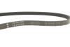 Купить Ремінь генератора Nissan Primera 1.6 16V 94-01/Mitsubishi Colt 1.5 05-12 (4PK805) INA fb 4pk805 (фото4) подбор по VIN коду, цена 355 грн.