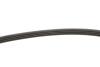 Купить Ремень генератора Mazda 626 II 2.0 (GC), 11/82 - 10/87 INA fb4pk810 (фото3) подбор по VIN коду, цена 219 грн.