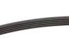 Купити Ремінь генератора BMW 5 (E39) 520i/523i/528i 90-/Hyundai XG 3.0-3.5 98-05/Mitsubishi Colt 1.5 05-12 INA fb 5pk906 (фото2) підбір по VIN коду, ціна 355 грн.