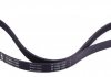 Купить Ремень генератора Citroen Berlingo 1.9D 98- (6PK1388) Peugeot 206, Chevrolet Aveo, Citroen Xsara, Berlingo, Peugeot 306, Citroen Jumpy, Peugeot Partner, Fiat Scudo, Mini Cooper, Peugeot Expert, Fiat Grande Punto INA fb 6pk1390 (фото2) подбор по VIN коду, цена 515 грн.