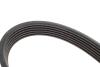 Купити Ремінь генератора Audi A4/A6 1.6-2.0 00-08 (6PK1570) BMW E34, Ford Galaxy, KIA Carnival, Audi A4, A6, Ford Mondeo, S-Max INA fb 6pk1570 (фото3) підбір по VIN коду, ціна 644 грн.