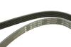 Купити Ремінь генератора Ford Escort 1.4-1.8 92-00/Renault Laguna 1.8 93-01/VW Golf II/Passat B3/B4 88-97 INA fb 6pk1653 (фото5) підбір по VIN коду, ціна 568 грн.