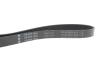Купити Ремінь генератора MB C-class (W202) 2.0 95-01 INA fb 6pk1863 (фото4) підбір по VIN коду, ціна 637 грн.