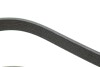 Купити Ремінь генератора BMW 5 (G30/F90)/X3 (G01/F97) 16- B47 (8PK1162) BMW G20, G21, G30, G31, X3, G32 INA fb 8apk1162 (фото3) підбір по VIN коду, ціна 914 грн.