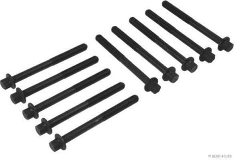 Болт головки циліндрів (компл.) 10 шт. Nissan X-TRAIL III 13-, Renault SCENIC III -16 (Jakopa JAKOPARTS j1281051