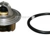 Купить Термостат Opel Corsa, Kadett, Ascona, Vectra, Audi 80, Volkswagen Polo, Golf, Jetta, Passat, Scirocco, Opel Astra JP GROUP 1114601010 (фото1) подбор по VIN коду, цена 330 грн.