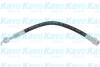 Купить Шланг гальмівний (задній) Mazda 6 02-08 (L=295mm) KAVO PARTS bbh-4543 (фото1) подбор по VIN коду, цена 336 грн.