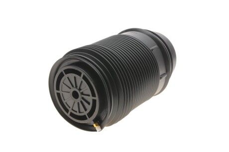 Подушка пневмопідвіски (ззаду) MB E-class (W212) 10-15 (R) KAVO PARTS sas-10019