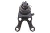 Купить Опора шаровая (передняя/снизу/R) Mitsubishi Pajero 90- KAVO PARTS sbj-5506 (фото5) подбор по VIN коду, цена 1032 грн.