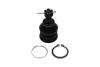 Купить TOYOTA кульова опора Yaris 1.0 05-11, 1.8 07-11 KAVO PARTS sbj-9034 (фото1) подбор по VIN коду, цена 380 грн.