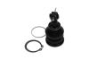 Купить TOYOTA кульова опора Yaris 1.0 05-11, 1.8 07-11 KAVO PARTS sbj-9034 (фото2) подбор по VIN коду, цена 380 грн.
