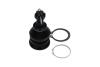 Купить TOYOTA кульова опора Yaris 1.0 05-11, 1.8 07-11 KAVO PARTS sbj-9034 (фото4) подбор по VIN коду, цена 380 грн.