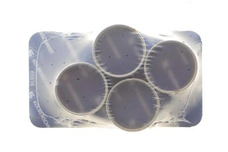 Втулка шатуна MB OM354/OM364 (к-кт 4 шт) KOLBENSCHMIDT 87355693