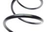 Купити Пружина (передня) BMW 3 (E90-E93) 325-330d/335i 06-13 (седан/универсал/купе) (без М-техніки) LESJOFORS 4008467 (фото2) підбір по VIN коду, ціна 1324 грн.