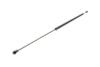 Купити Амортизатор кришки багажника Honda Civic 05- (нах.зад.частина) Honda Civic LESJOFORS 8135729 (фото6) підбір по VIN коду, ціна 660 грн.