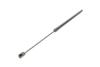 Купити Амортизатор кришки багажника Jeep Grand Cherokee 05-10 (всюдихід) Jeep Grand Cherokee LESJOFORS 8142103 (фото6) підбір по VIN коду, ціна 986 грн.