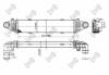 Купить Iнтеркулер Mercedes W204, GLK-Class LORO 0540180007 (фото1) подбор по VIN коду, цена 4016 грн.