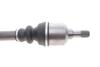 Купити Піввісь (передня) Citroen Berlingo/Peugeot Partner 1.6HDI/1.6i 08- (L) (25х24х625) (TDS0087) Peugeot 307, Citroen C4, Berlingo, Peugeot Partner MAGNETI MARELLI 302004190087 (фото4) підбір по VIN коду, ціна 3779 грн.