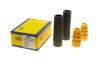 Купить Защитный комплект амортизатора (пыльник и отбойник) MAGNETI MARELLI 310116110219 (фото1) подбор по VIN коду, цена 594 грн.