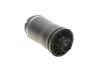 Купити Подушка пневмопідвіски (ззаду) MB (W164) ML (0726AB) MAGNETI MARELLI 350072600002 (фото3) підбір по VIN коду, ціна 6337 грн.