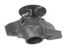 Купити Помпа води BMW 3 (E30)/5 (E28)/ 2.4D 83-88 (WPQ0048) BMW E30, E36, E12, E28, E34 MAGNETI MARELLI 352316170048 (фото1) підбір по VIN коду, ціна 1401 грн.