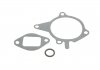 Купити Помпа води Mazda 323 1.5 16V/1.8 16V/1.6 94-04/MX-5 1.6/1.8 98-05 Mazda 323 MAGNETI MARELLI 352316170751 (фото5) підбір по VIN коду, ціна 1434 грн.