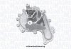 Купити CITROEN Помпа води Jumper 2,2HDi 06- FIAT FORD PEUGEOT Peugeot Boxer, Ford Transit, Citroen Jumper, Fiat Ducato MAGNETI MARELLI 352316171257 (фото1) підбір по VIN коду, ціна 1907 грн.