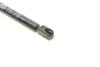 Купити Амортизатор кришки багажника VW Golf V/VI 07-13 (GS0820) Volkswagen Golf MAGNETI MARELLI 430719082000 (фото2) підбір по VIN коду, ціна 431 грн.