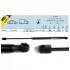 Купить Газовый амортизатор (GAS SPRING) RENAULT R 19 II (B/C53) 04/92-12/95 TAILGATE WITHOUT SPOILER - HATCHBACK [430719009300] Renault 19 MAGNETI MARELLI gs0093 (фото1) подбор по VIN коду, цена 550 грн.