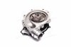Купить Водяний насос MERCEDES BENZ CLA 200 CDI 11- Mercedes W246, W176, CLA-Class, GLA-Class Metelli 24-1215 (фото4) подбор по VIN коду, цена 5076 грн.