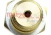 Купити Датчик тиску оливи Fiat Scudo, Peugeot 306, Boxer, 806, Fiat Ducato, Citroen Jumper, Ford Mondeo, Peugeot 406, Citroen Jumpy, Peugeot Expert, Citroen Berlingo METZGER 0910102 (фото2) підбір по VIN коду, ціна 219 грн.