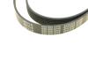 Купить Ремень генератора поликлиновый Mercedes G-Class, W202, W210, Lexus LS, SsangYong Korando, Nissan X-Trail, Primera, Ford Mondeo, S-Max, Galaxy, Dodge Nitro MEYLE 050 006 2245 (фото4) подбор по VIN коду, цена 682 грн.