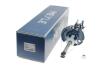 Купити Амортизатор (передній) Ford B-Max 12-/Fiesta VI 09- (L) Ford Fiesta MEYLE 726 623 0052 (фото5) підбір по VIN коду, ціна 2762 грн.