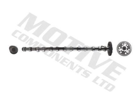 Розподільчий вал (Впускна сторона) (впускні клапани) BMW 3 (E46), 3 (E90), 3 (E91), 3 (E92), 3 (E93), 5 (E39), 5 (E60), 5 (E61), 6 (E63), 6 (E64), 7 (E38), 7 (E65, E66, E67) 2.5D/3.0D 08.98-12.13 Motive t2136