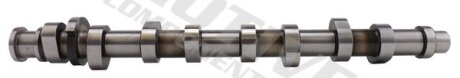 Розподільчий вал AUDI A3, A4 B5, A4 B6, A4 B7 SEAT ALTEA, ALTEA XL, EXEO, EXEO ST, LEON, TOLEDO III SKODA OCTAVIA I, OCTAVIA II VW BORA, BORA I, CADDY III 1.6/1.6ALK/1.6LPG 06.00-05.15 Motive t2184