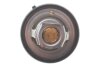 Купить Термостат CHRYSLER ASPEN/DODGE DAKOTA/RAM/GRAND CHEROKEE 3.7-5.0i 99- (91C) Jeep Cherokee, Grand Cherokee, Dodge Nitro MOTORAD 420-91K (фото3) подбор по VIN коду, цена 307 грн.