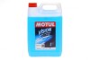 Купити Омивач скла зима (5L) Vision Winter -20° (103838/107787/106456) MOTUL 992606 (фото1) підбір по VIN коду, ціна 650 грн.